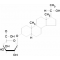 5B-PREGNANE-3A-20A-DIOL GLUCURONIDE*CRYS TALLINE