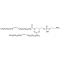 1,2-DIOLEOYL-SN-GLYCERO-3-PHOSPHOETHANOLAMINE >= 99.0% (TLC, 10 MG PHOSPHOLIPID PER ML CHCL3)