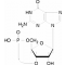 GUANOSINE 3':5'-CYCLIC MONOPHOSPHATE*FRE E ACID