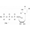 5-BROMOURIDINE 5'-TRIPHOSPHATE SODIUM