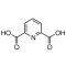 2,6-PYRIDINEDICARBOXYLIC ACID, 99%