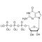 GUANOSINE 5'-O-(3-THIOTRIPHOSPHATE)*TETR ALITHIUM