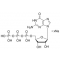 GUANOSINE 5'-TRIPHOSPHATE SODIUM 100 MM
