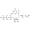 GUANOSINE 5'-TRIPHOSPHATE TRIS TYPE VI