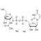 URIDINE 5'-DIPHOSPHO-N-ACETYL-*GLUCOSAMI NE SODIUM