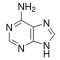 ADENINE BIOREAGENT, SUITABLE FOR CELL CU
