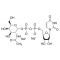 URIDINE 5'-DIPHOSPHO-N-*ACETYLGALACTOSAM INE DISODIU