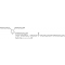POLYSORBATE 80
