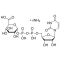 URIDINE 5'-DIPHOSPHOGLUCURONIC ACID*TRIA MMONIUM