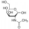 N-Acetyl-D-galactosamine,