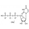 URIDINE 5'-TRIPHOSPHATE SODIUM FROM*YEAS T TYPE III
