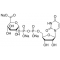 URIDINE 5'-DIPHOSPHOGLUCURONIC ACID*TRIS ODIUM