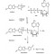 ADENOSINE 5'-TRIPHOSPHATE ASSAY MIX