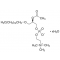 L-A-PHOSPHATIDYLCHOLINE, B-ACETYL-*GAMMA -O-HEXADECY