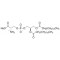 L-A-PHOSPHATIDYL-L-SERINE SODIUM