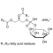 L-A-PHOSPHATIDYLINOSITOL AMMONIUM*FROM S OYBEAN