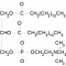 DL-A-PHOSPHATIDYLCHOLINE, DIPALMITOYL