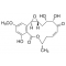 HYPOTHEMYCIN FROM HYPOMYCES TRICHOTHECOIDES