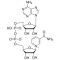 BETA-NICOTINAMIDE ADENINE DINUCLEOTIDE,