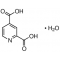 2,4-PYRIDINEDICARBOXYLIC ACID MONOHYDRA