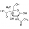N-Acetylmuramic acid,