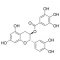 (-)-CATECHIN GALLATE