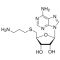 S-(5'-Adenosyl)-3-thiopropylamine