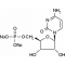 CYTIDINE 5'-MONOPHOSPHATE DISODIUMSIGMA GRADE