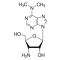 PUROMYCIN AMINONUCLEOSIDE