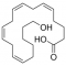 20-HYDROXY-(5Z,8Z,11Z,14Z)-*EICOSATETRAE NOIC ACID