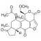 WORTMANNIN FROM PENICILLIUM FUMICULOSUM