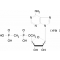 A,B-METHYLENEADENOSINE 5'-DIPHOSPHATE*SO DIUM
