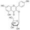 Kaempferol 3-<beta>-D-glucopyranoside