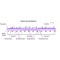 BOVINE SERUM ALBUMIN, LYOPHILIZED POWDE&