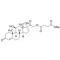 HYDROCORTISONE 21-HEMISUCCINATE SODIUM