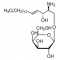 PSYCHOSINE