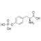 O-PHOSPHO-L-TYROSINE