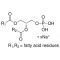 L-A-PHOSPHATIDIC ACID SODIUM FROM*EGG YO LK LECITHIN