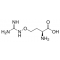 L-CANAVANINE FREE BASE FROM JACK BEANSCR YSTALLINE