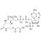 MALONYL COENZYME A TETRALITHIUM SALT