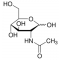 N-Acetyl-D-glucosamine,